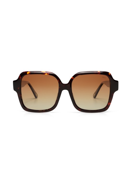 ikki zonnebril 79-8 cato gradient brown